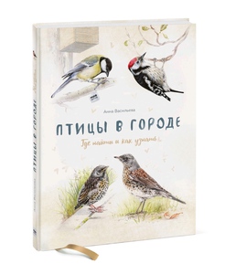 Книга. Птицы в городе.