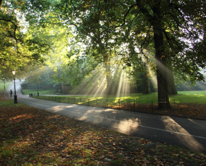 London Hyde Park Running