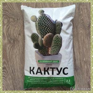 грунт для кактусов