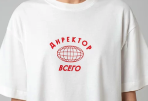 Футболка сео оф эврисинг