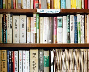 Прочитать 5 книг японских авторов