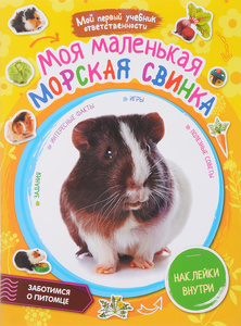 Моя маленькая морская свинка