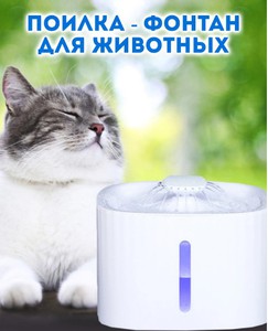 Поилка-фонтан для кошек