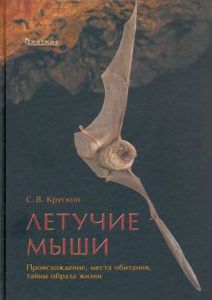 С. Крускоп «Летучие мыши. Происхождение, места обитания»