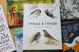 Книга "Птицы в городе"