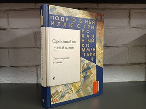 Книга "Серебряный век русской поэзии. Стихотворения и судьбы", Елена Жуйкова