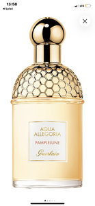 Aqua Allegoria Pamplelune