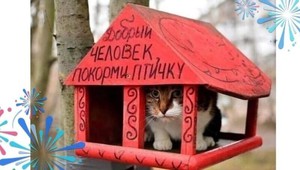 кормушка для птиц