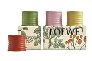 Loewe candle