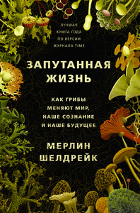 Шелдрейк Мерлин, Запутанная жизнь