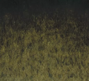Daniel Smith Undersea Green 109