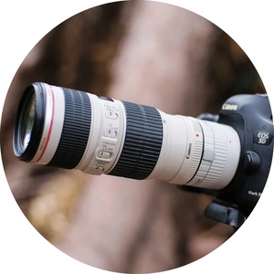 Объектив "EF 200-400mm" (Canon)