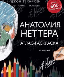 Атлас анатомический раскраска