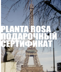 Подарочный сертификат в planta rosa