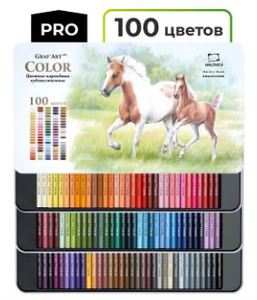 Набор профессиональных цветных карандашей Малевичъ GrafArt PRO, 100 цветов