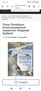 Птицы Санкт-Петербурга. В.М. Храбрый.