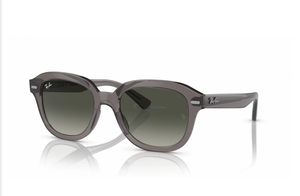 Ray-Ban ERIK RB4398 667571 Grey
