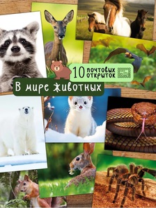 Открытки В мире животных