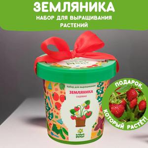 Набор для выращивания растений Happy Plant Земляника садовая