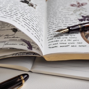 sterling ink n1 520 pages