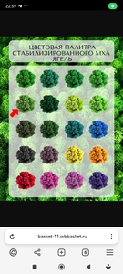 Стабилизированный мох, разные цвета