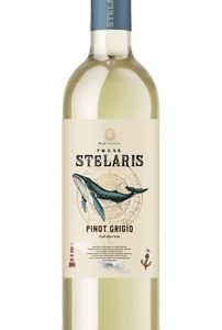Stelaris Pinot Grigio