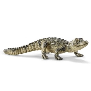 alligator junges