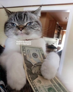 ну вы поняли (денежки)