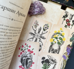 Antique Anatomy Tarot
