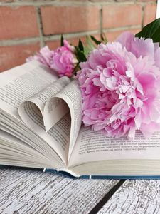 написать книгу