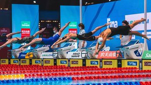 Чемпионат мира по водным видам спорта