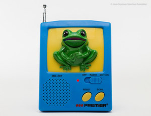 Chatter Pals Animated Talking FM Novelty Radio, Model PM31916 (Frog)