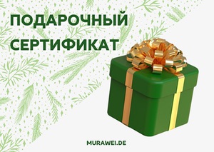 Подарочный сертификат в книжный магазин «Муравей»