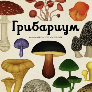 Энциклопедия про грибы