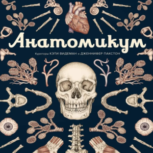 Анатомикум | Пакстон Дженнифер