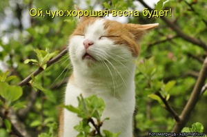 Хорошая весна