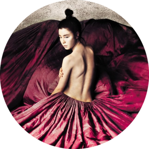 Портрет красивой девушки (2008)