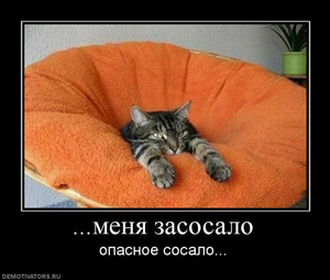 «Расслабляйся понемногу»