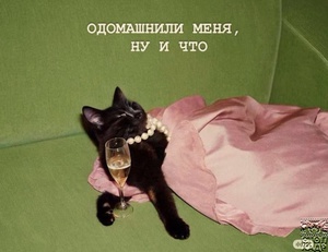 Стать избалованной