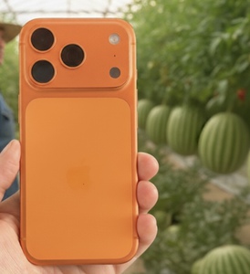 iPhone 17pro