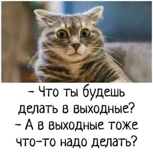 планировать выходные