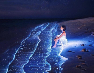 Увидеть планктон на Мальдивах