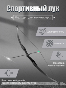 Спортивный лук