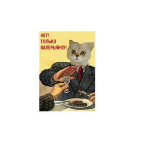 мои "нет"