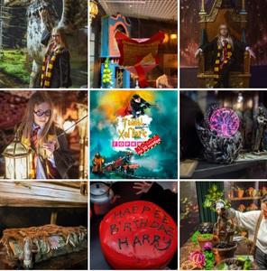 На выставку Гарри Поттера