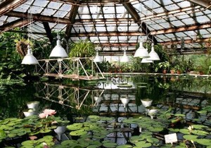 в ботанический сад