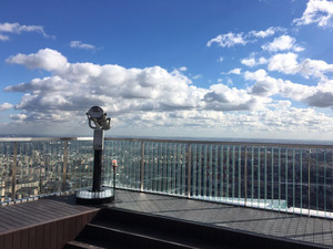 на смотровую площадку