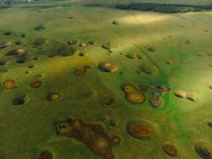 Сырные поля