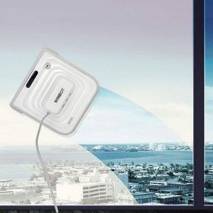 Мойщик вида