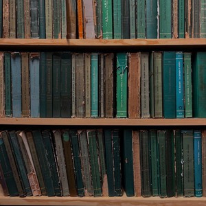 Прочитать книгу в букинистическом издании